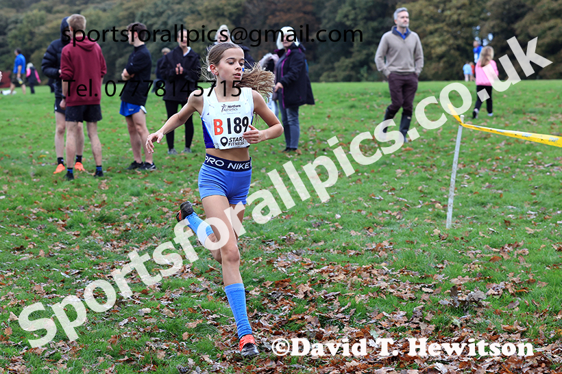 Girls under-13s, 2024 Northern Cross Country Relays, Graves Park, Sheffield.   Photo: David T. Hewitson/Sports for All Pics